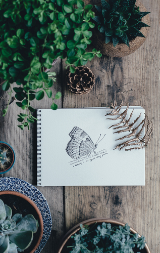 Метелик малювання між рослинами