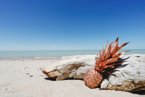 Brons ananas på stranden