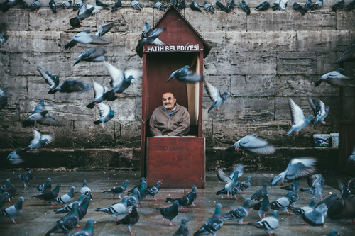 Man with pigeons