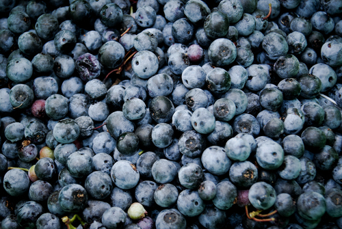 Pilha dos blueberries