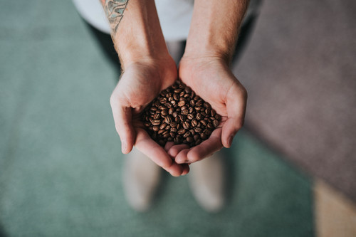 Kávové fazole v dlaních