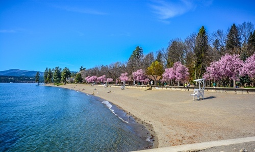 Lake en het strand in het voorjaar