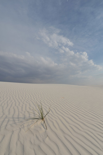 White Sands dunes 3