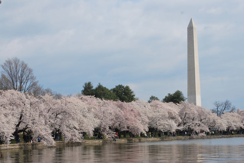 Monumento di Washington