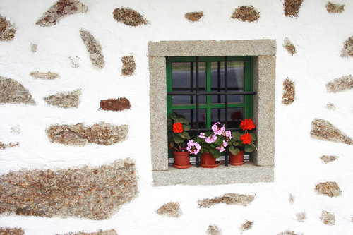 Fenêtre de Cottage