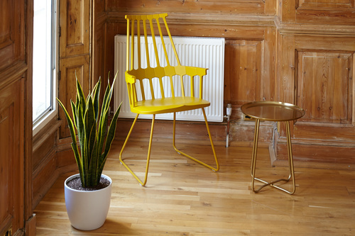 Cadeira amarela e a planta