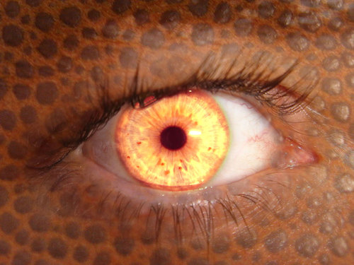 Imagem de close-up do olho humano