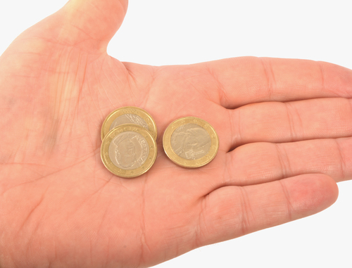 Monete in euro in un palmo