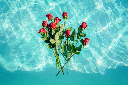 Троянди на воді