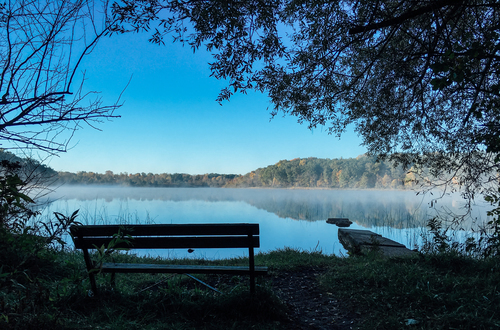 Banco junto al lago