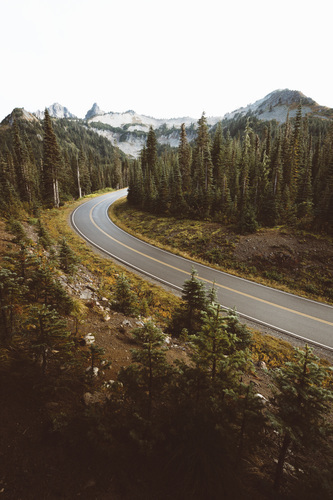 Drumul merge prin natura