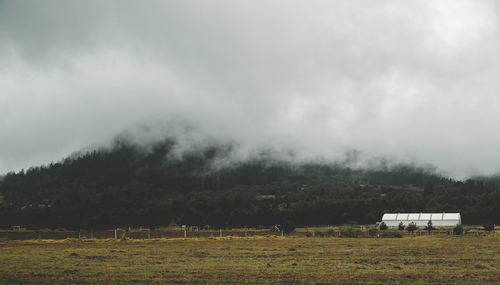 Farmland and the greenhouse