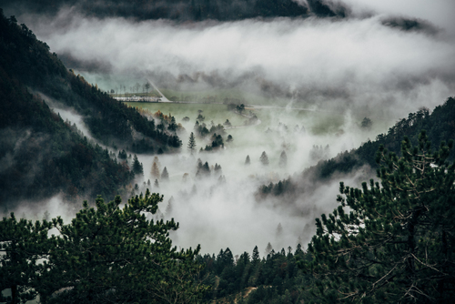 Hustá mlha v údolí