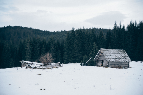 Wooden cottage in snow