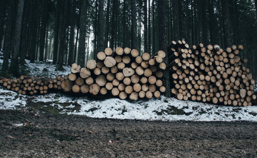 Hout voor de bouw