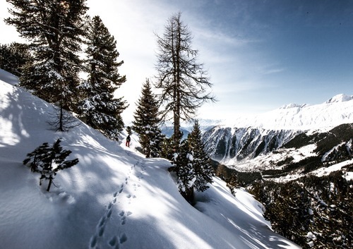 Huellas en la nieve de las montañas