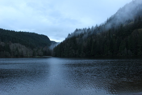 Lago e floresta