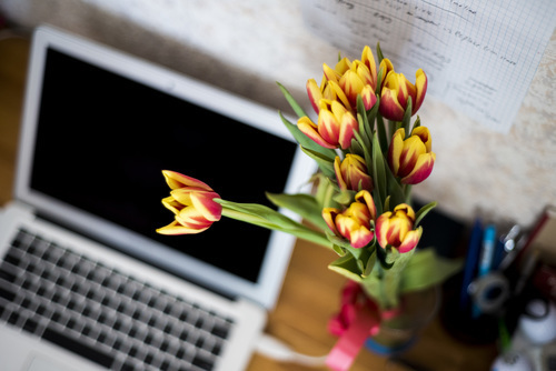 Flores por laptop