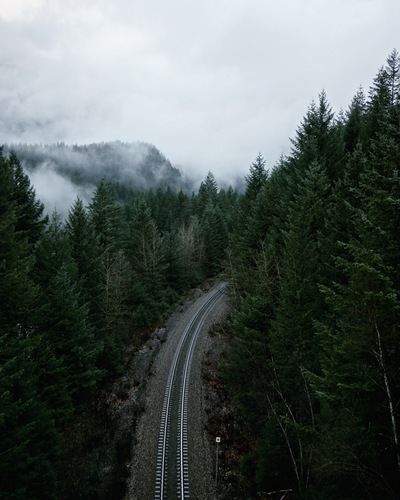 Железная дорога через лес