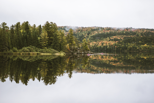 Le parc Algonquin, Canada