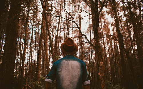 Uomo con un cappello nella foresta