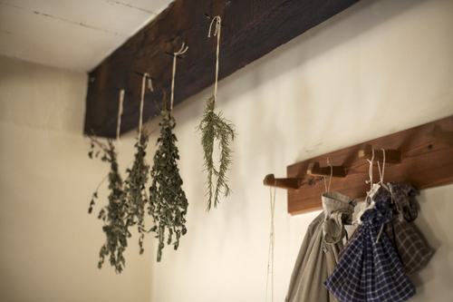 Herbs drying in the kitchen