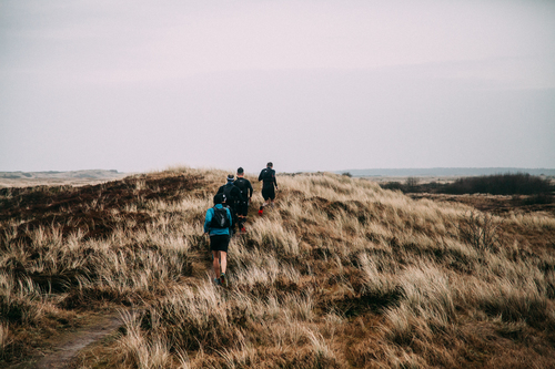 Running through the field