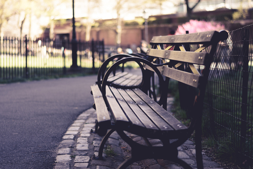 Wooden benches by the road