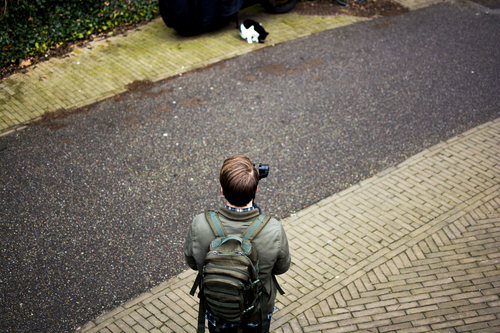 Uomo che fotografa un gatto