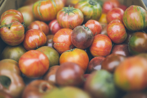 Organice de tomate