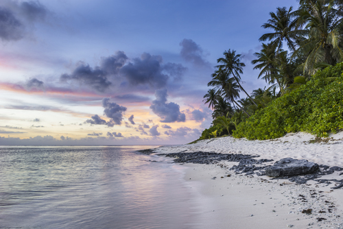 Günbatımı tropikal plaj