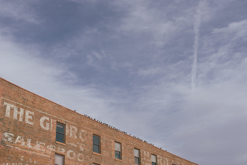 Oiseaux se reposant sur le dessus du bâtiment