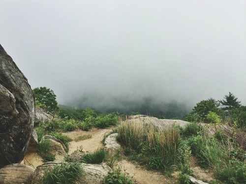 Narrow path through foggy mountain