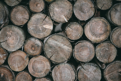 Cordwood pile