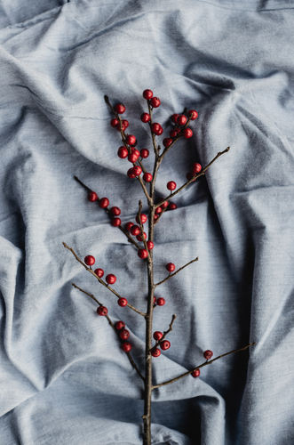 Red berries on blue cloth