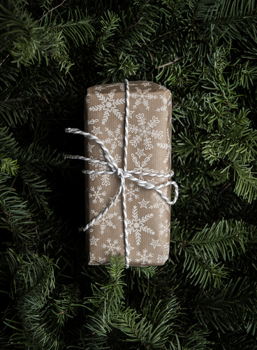 Wrapped present on pine