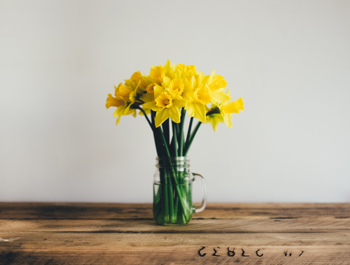Žlutá lilles vázy