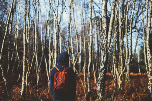 Hooded hiker in nature