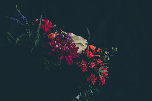Image de bouquet coloré