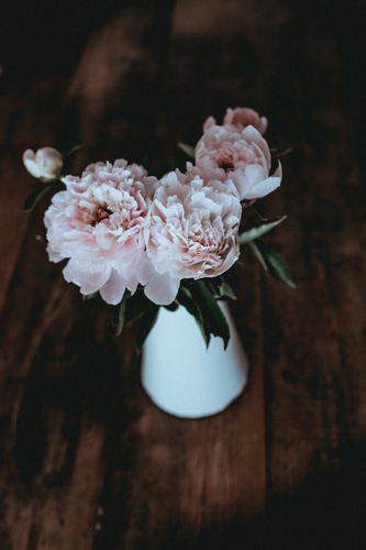 Flowers in vase image