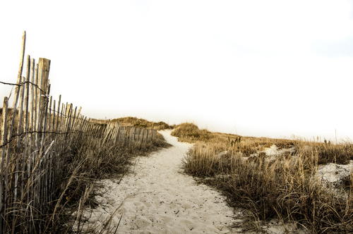 Path in Atlantic Beach, United States
