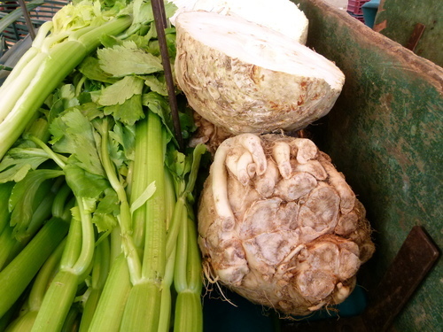 Celery root and stalks with leaves