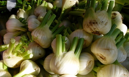 Fennel bulb on the market