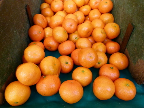 Mandarines fraîches