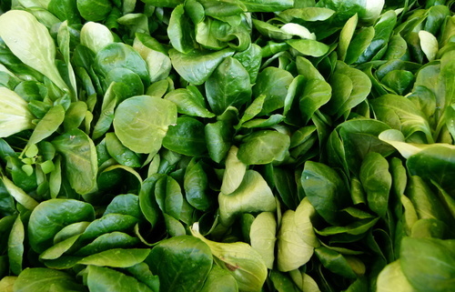Veldsla salade op de markt