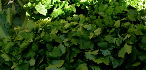 Parsley at the farmers market