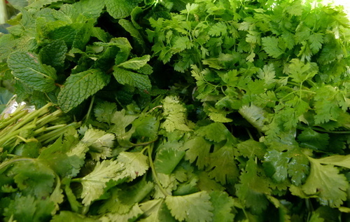 Parsley and mint herbs