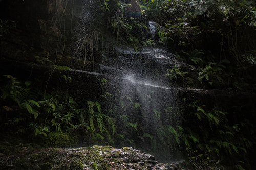 Outpouring en la naturaleza