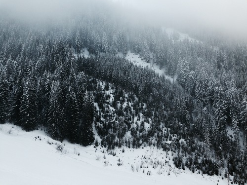 Snö täcker berg skogen