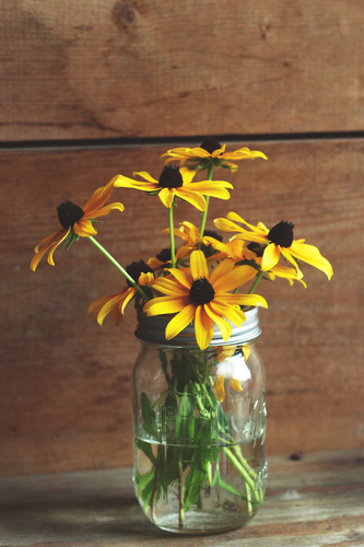 Yellow flowers in a jar